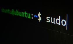 Featured image of post Linux
